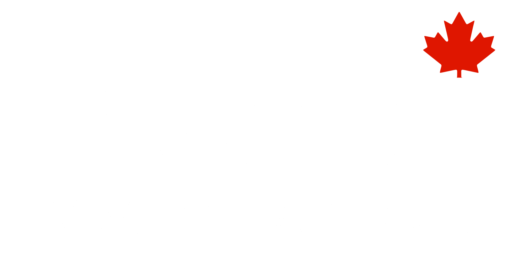 Partner Logo 1