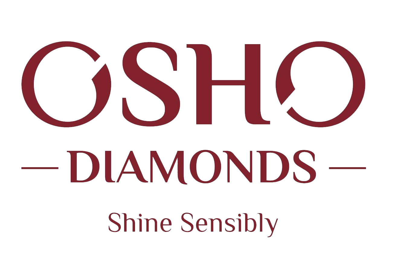 Partner Logo 4
